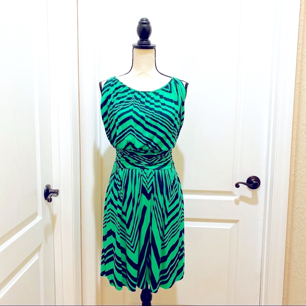 Express Chevron Dress
